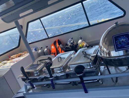 Blue Reef Diver – Center