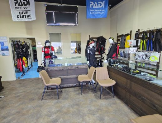 Giant Stride Diver غواص القفزة العملاقة