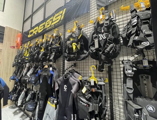 Natlus Divers | غواصين ناتلس