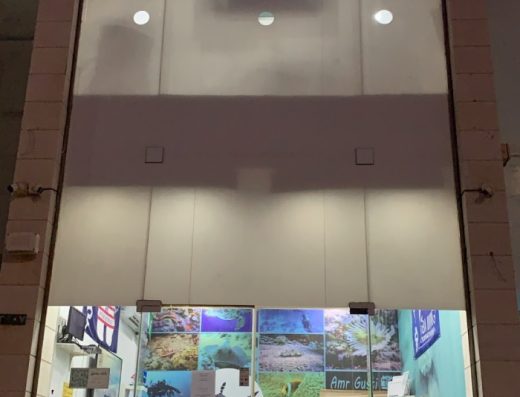 Shark Bay Diver خليج القرش للغوص