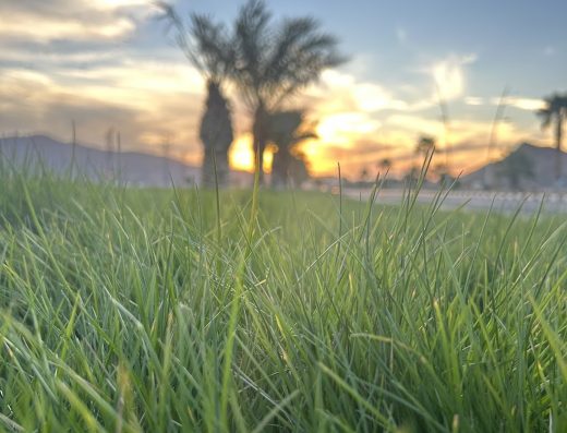 Al Bida Camp (NEOM City) “Aiedco”