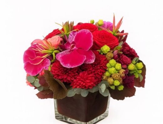 البتلة | Petals