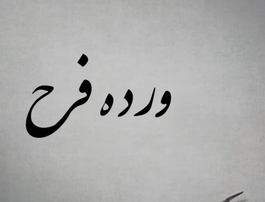 وردة فرح للزهور بالجمله