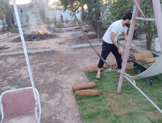 Dammam fresh grass