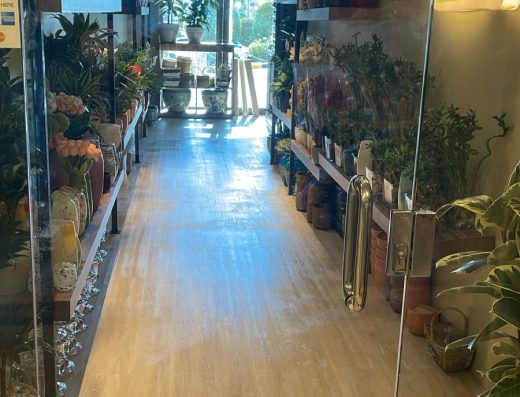 Gloriosa florist جلوريوسا