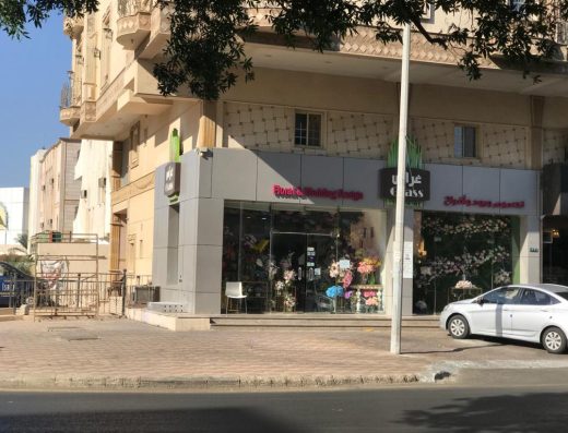GRASS غراس