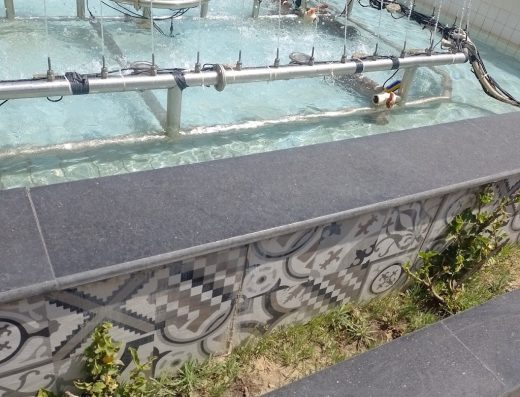 fountain
