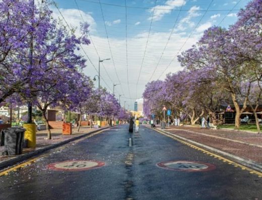 The Art Street